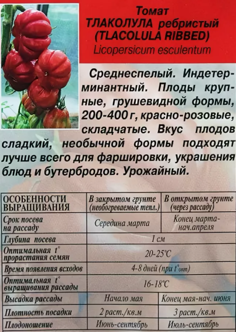 Фото взято из Яндекс.Картинки