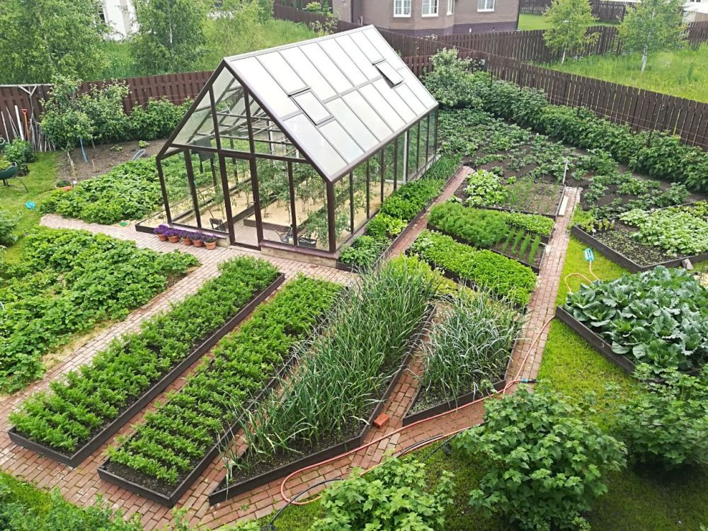 Планировка огорода: как сделать идеальный огород на даче
