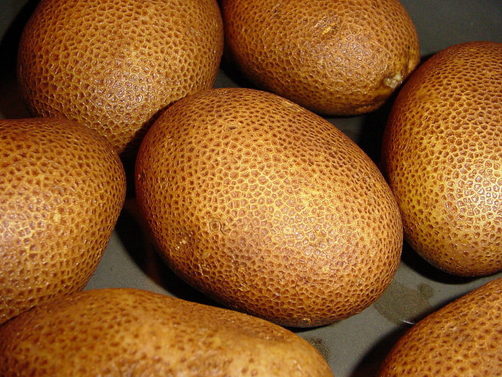 Картофель сорта «Russet Burbank». (Фото взято с wikimedia.org, его автор - Steve Caruso).