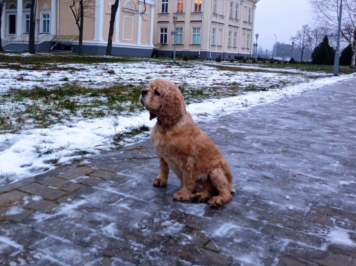 Культурная прогулка Тины