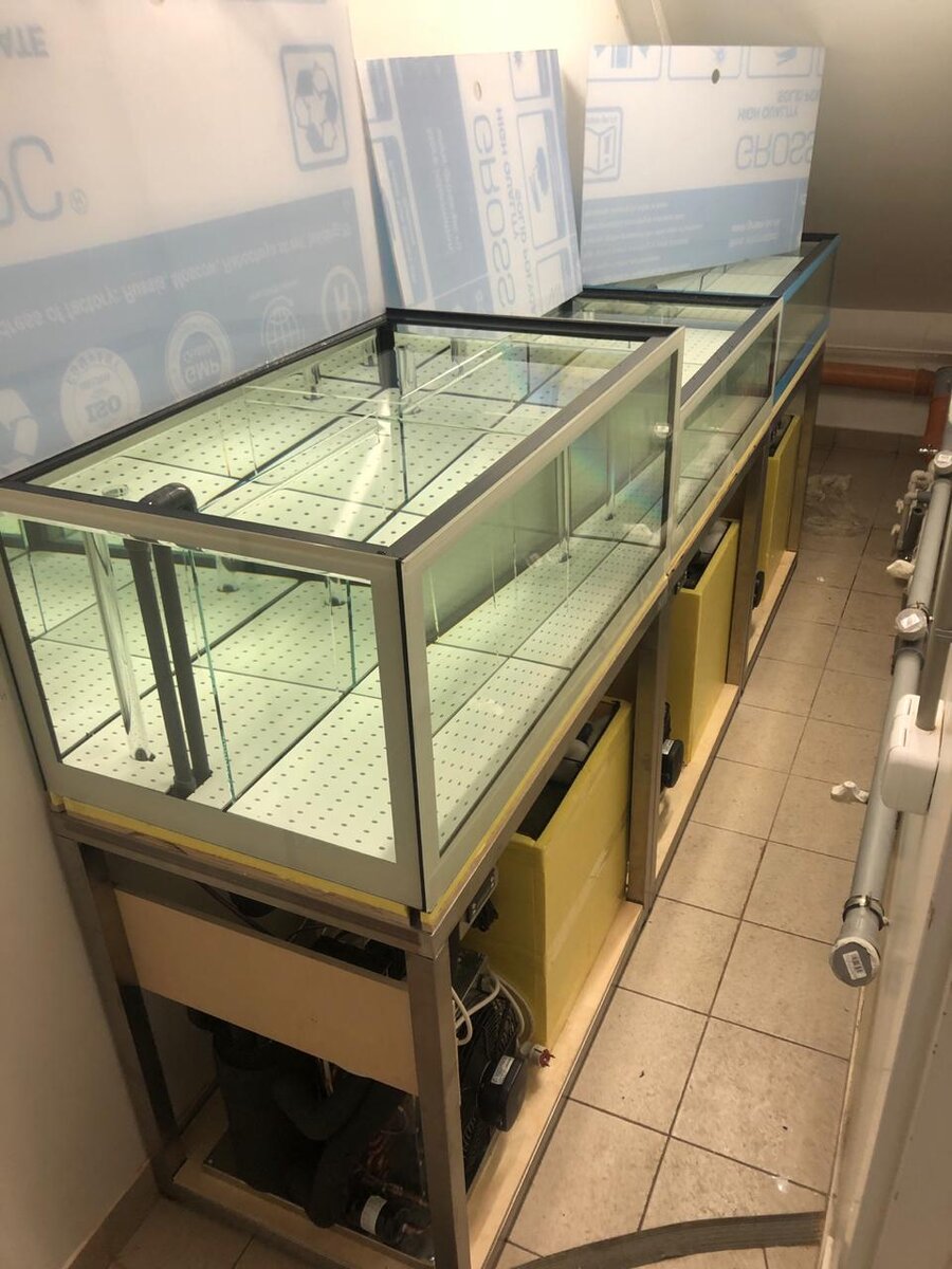 Обзор живого продукта, залог успеха