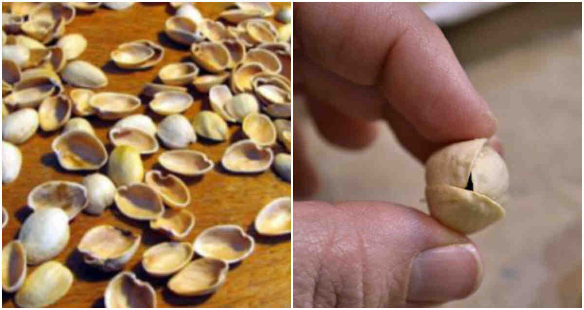 Изображение с сайта Яндекс Картинки