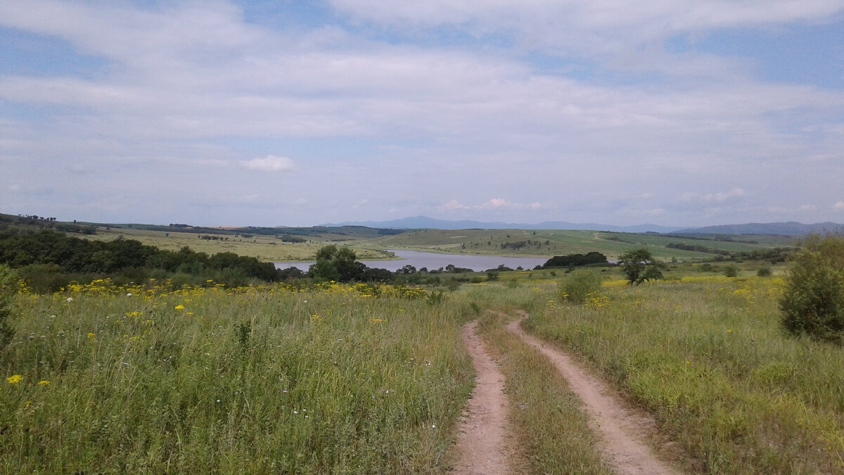 На фото Пуциловское водохранилище