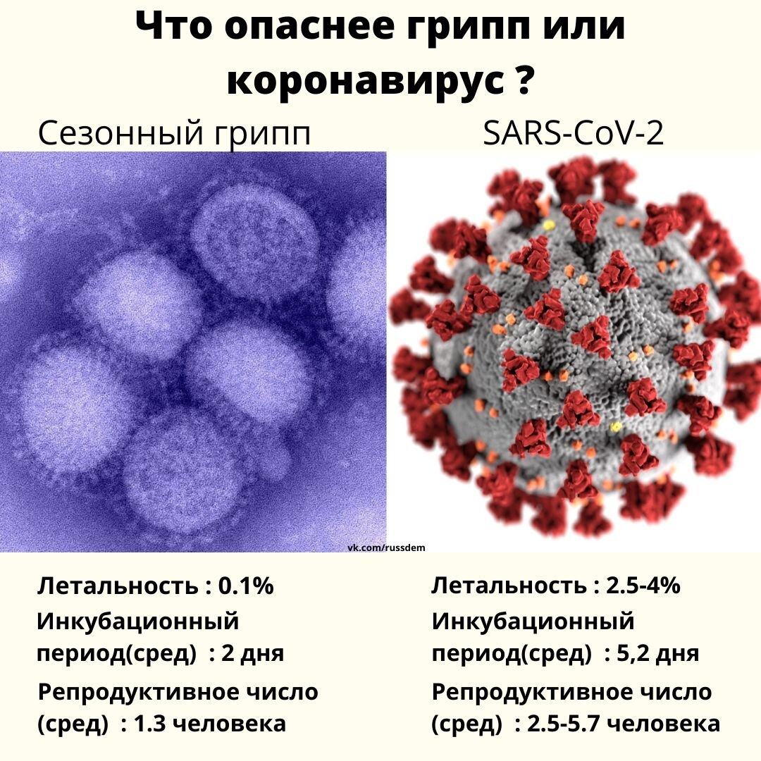 К какой инфекции относится грипп