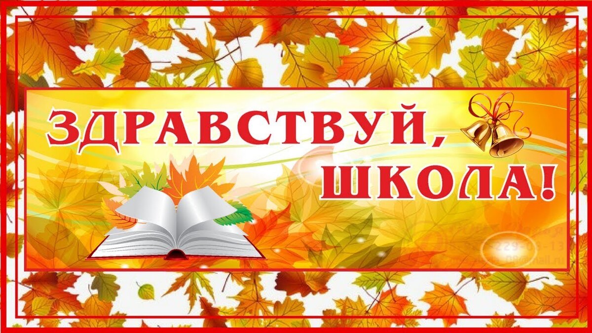 картинка из открытых источников.