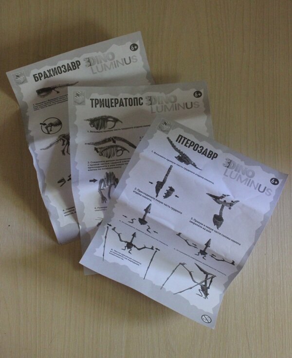 Инструкции с названиями динозавров