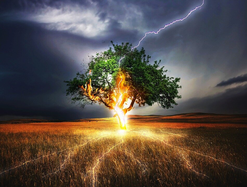 Изображение из открытого источника.  Pixabay.com/ru/   