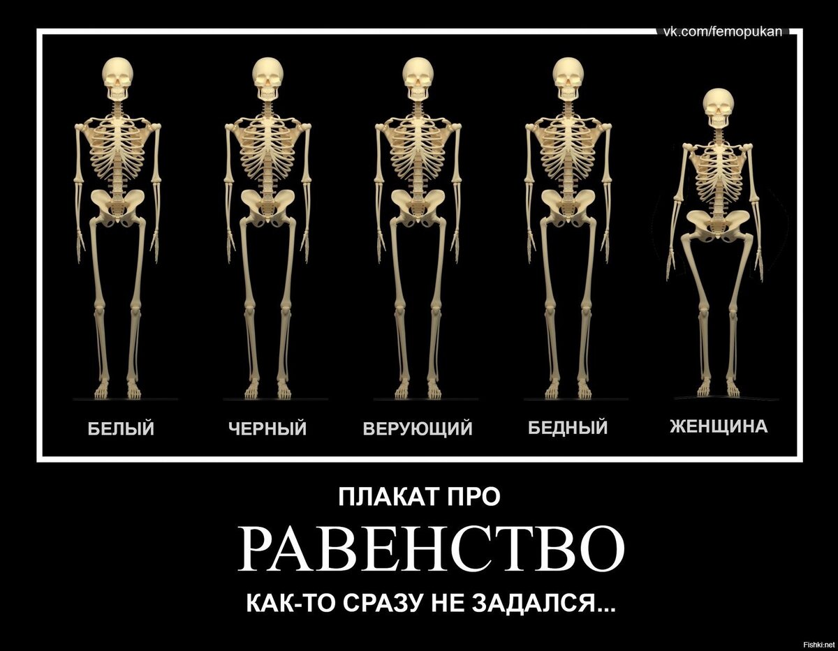 Смешное изображение человека как называется