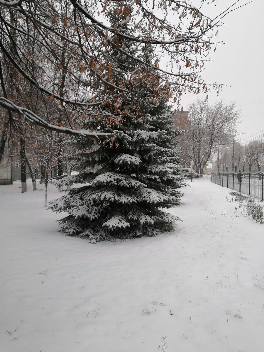 Фото автора. 