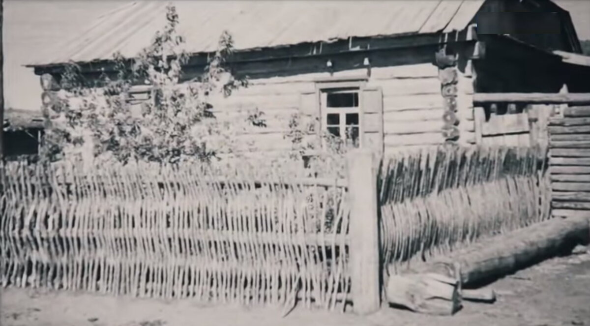 Родной дом Нины Николаевны
