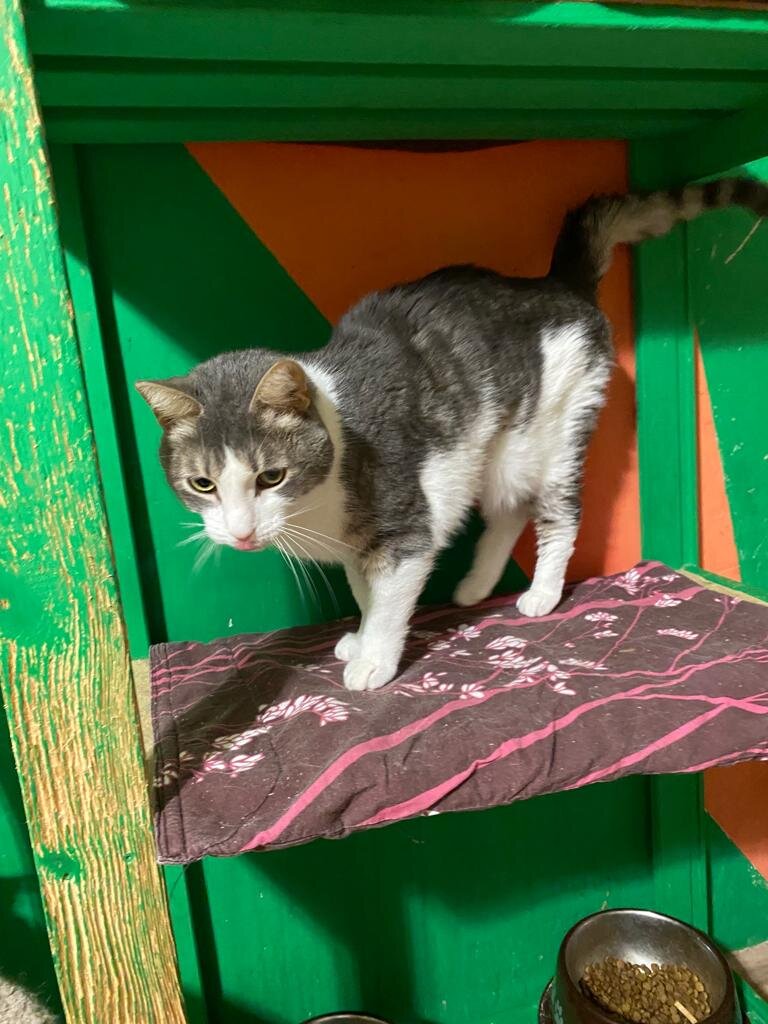 Фото авторов неделю назад. Степа