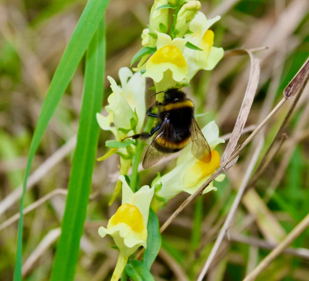 Фото Е.Лазурина