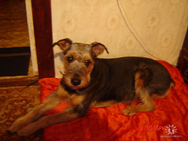 Марго в городской квартире.