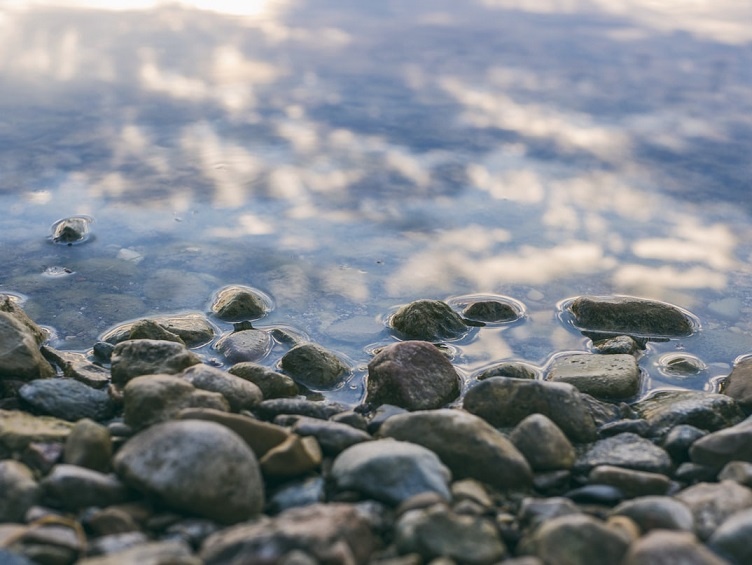 Изображение из открытого источника. Unsplash