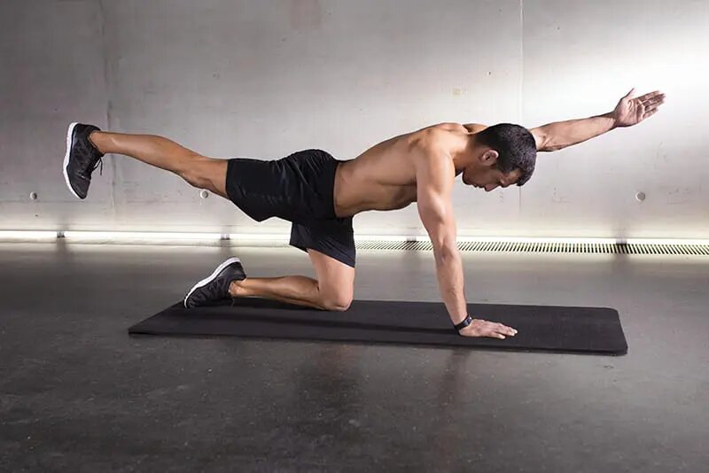 Тренировка в спортзале (взято с сайта https://www.dz-techs.com/ru/best-body-weight-exercise-apps-fitness)