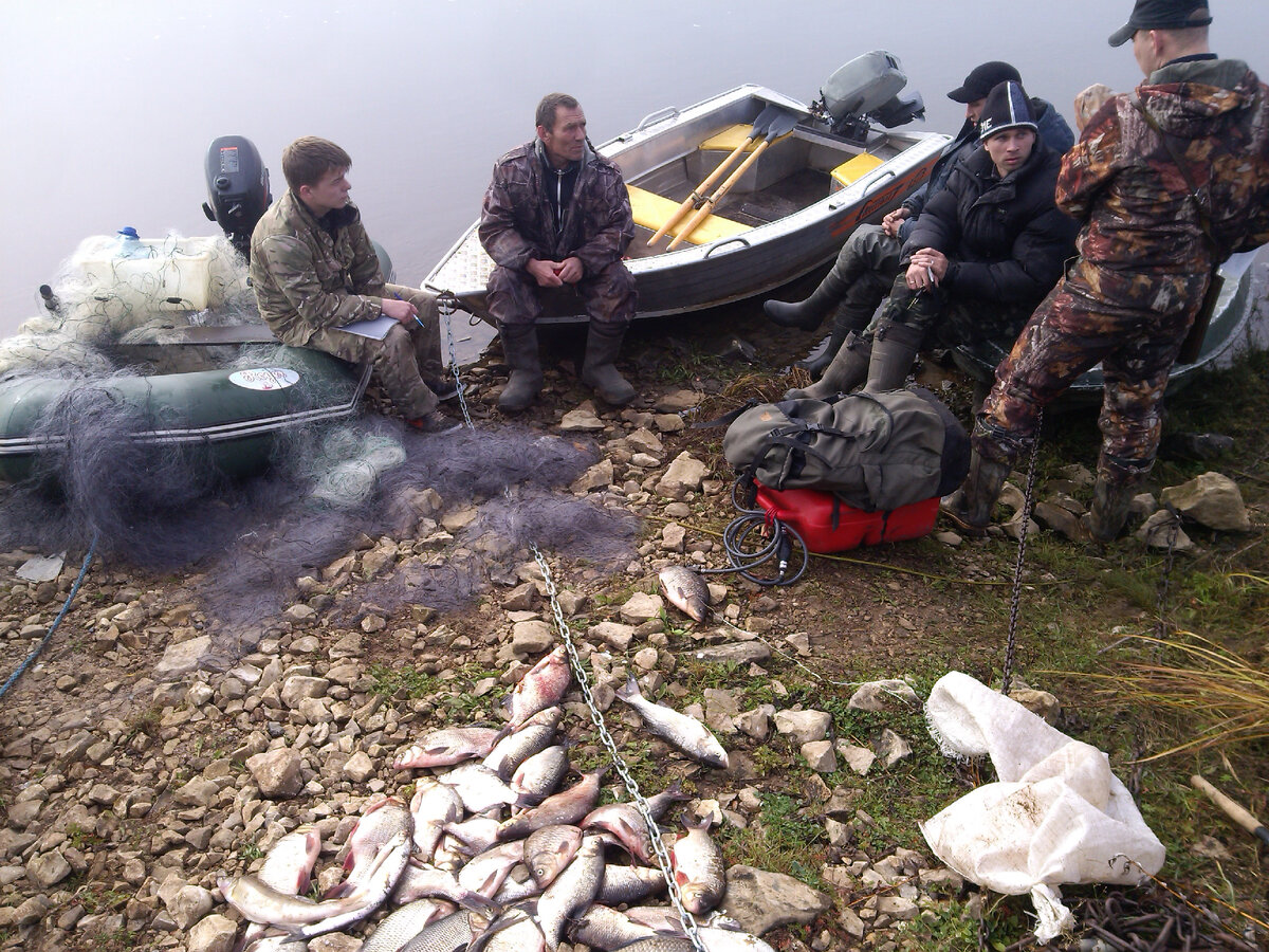 Фото из открытых источников. "Яндекс картинки"