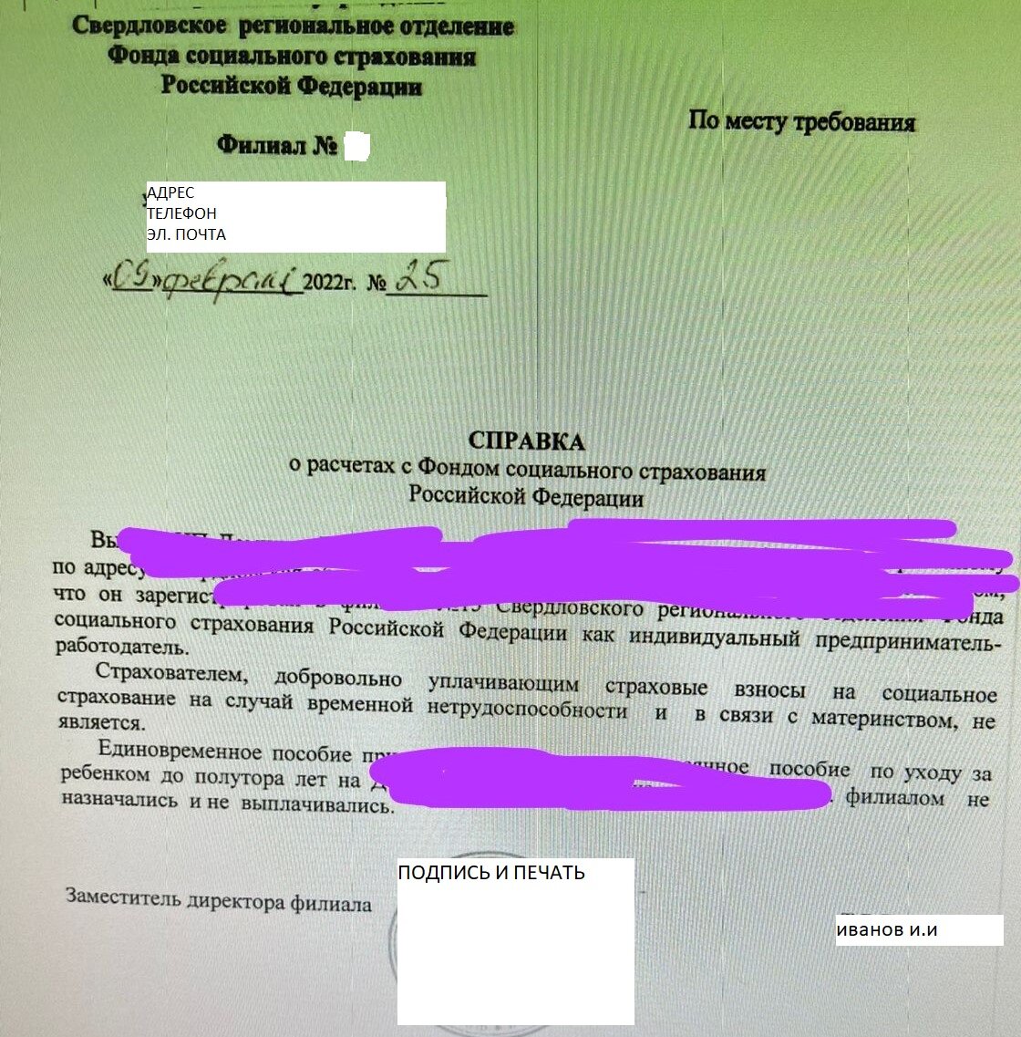 Как получить пособие по уходу за ребенком, если муж ИП | Активный человек |  Дзен