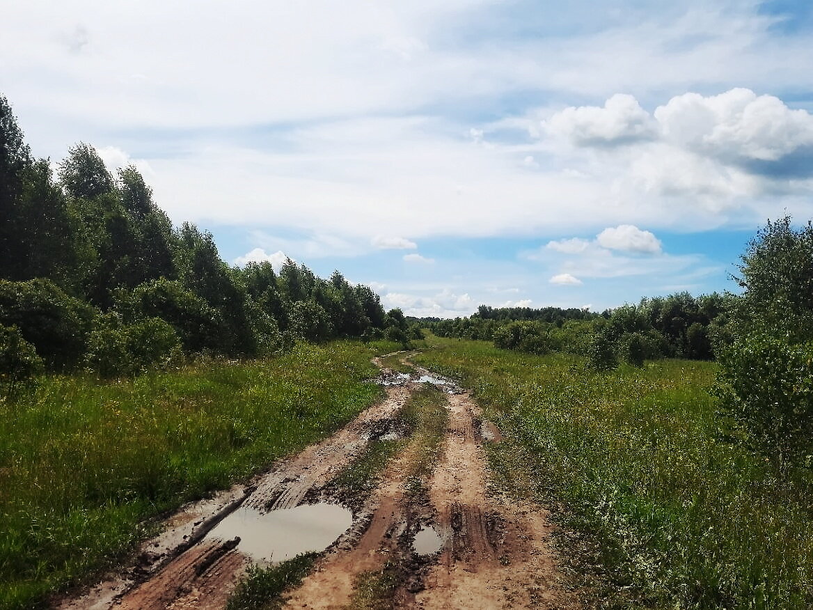 Множество дорог нас завело в никуда