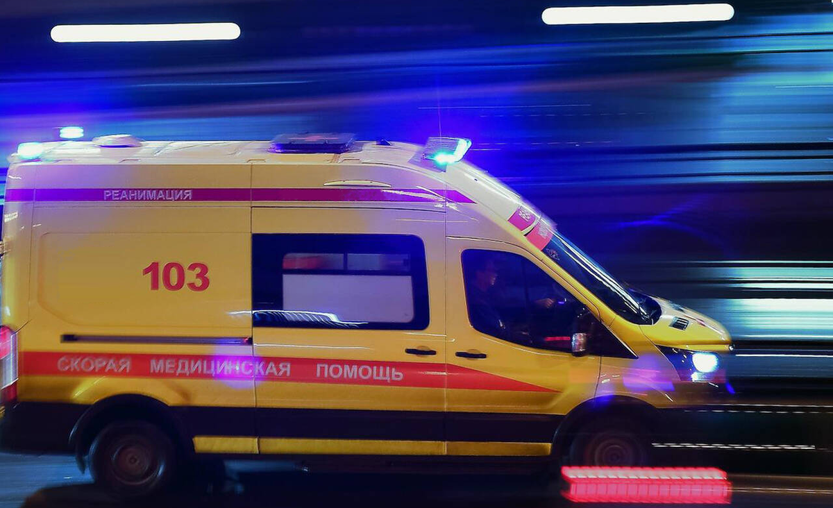 Яндекс картинки. Свободный доступ.