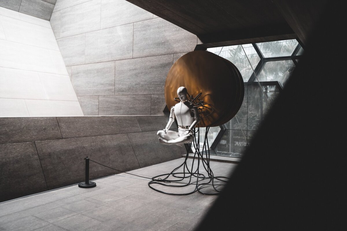    unsplash