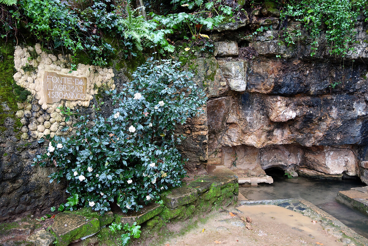 Fonte das Lagrimas. Родник Слёз. Коимбра. Португалия.
