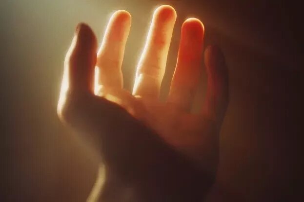     5 особенностей нашего тела, доставшихся человеку от невообразимо далеких предков