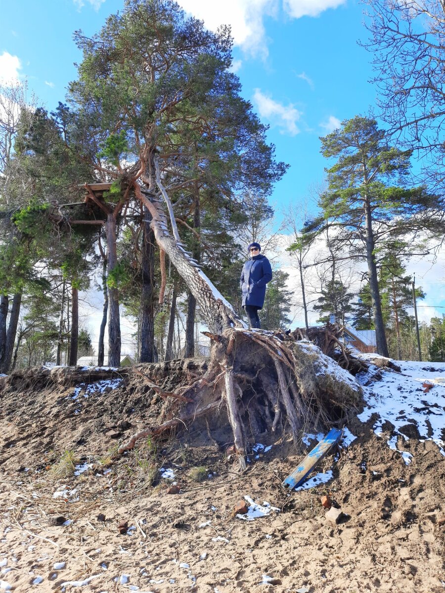 Весь путь в логопедию ещё был впереди. Попробуй, поднимись! 
