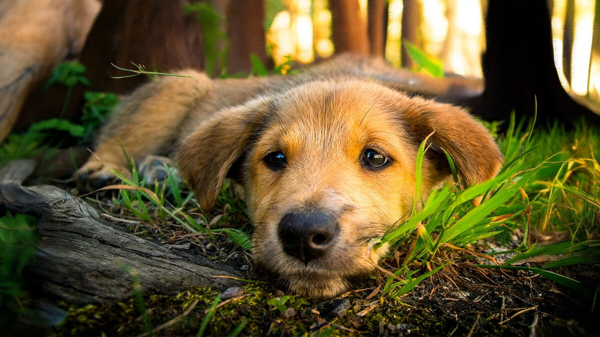 источник фото: cs4.pikabu.ru