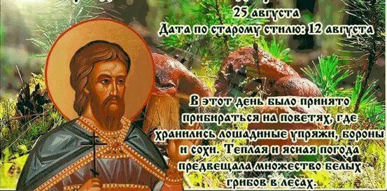 Фото из открытого источника