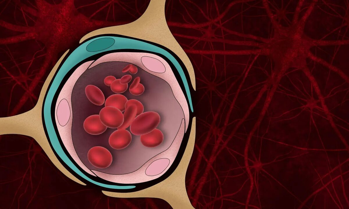 Источник: Яндекс.Картинки