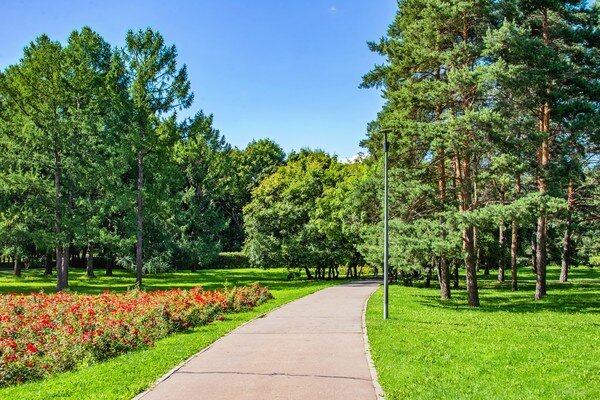 Лето-лето ... последние тёплые денёчки пролетели с  невероятной быстротой. Вот и наступила долгожданная дождливая прохлада )  ...   

Парк 50-летия Октября, Москва ...   

  