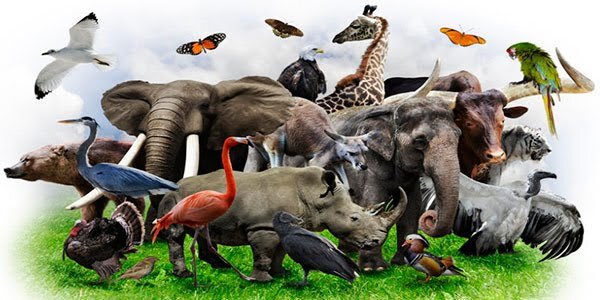 Изображение с ресурса https://elearning.kdu.md/moodle/course/info.php?id=786