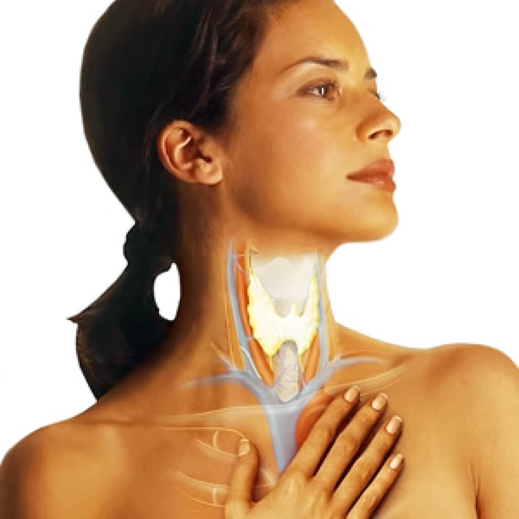 Рецепты на заметку