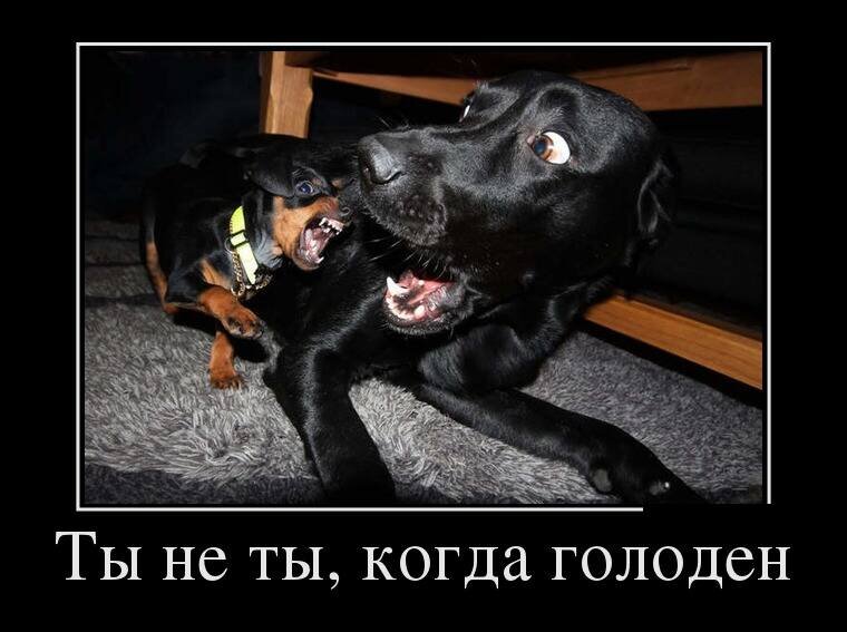 Не дают зарплату куда. Зарплату дали. Анджелина джоли подъёб засчитан. Не дают зарплату куда. Где зп картинки.