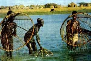 Первое свидетельство об исчезновении людей на “заколдованном острове” датируется 1630 годом. В то время на острове также поселилось несколько семей местных жителей. Сначала все было хороршо: деревня разрасталась, но одно обстоятельство вызывало удивление и тревогу – на остро­ве не было животных и птиц. Растительность Энваитенета была роскошной и имела яркий изумрудный оттенок. Очень странно выглядели скопления гладких камней бурого цвета, которые почему-то исчезали, а затем, вновь появлялись. При этом каждое ново­луние люди слышали жуткие звуки: крики, переходящие в протяж­ный стон, длившиеся от несколь­ких минут до часа. Прошло продолжительное время, но необъяснимые явления не только не прекратились, но и приобрели зловещий оттенок: в неко­торых частях острова ветви стоящих рядом деревьев переплелись и стали твердыми, подобно камню. В результате, эти участки для людей стали недоступ­ны. Но самое страшное заключалось в видениях, которые по но­чам являлись жителям деревни. Это были существа, только отдаленно напоминающие людей. После этих видений островитяне часами оставались неподвижны, не в силах шелохнуться. Кроме того, виден6ия являлись предвестниками несчастий: или кто-то погибал, или травмировался. Жители деревни пришли к выводу, что на Энваитенетеживут чудовища, готовые в любую секунду их уничтожить. Они действительно появлялись прямо перед человеком в самый неожиданный момент. На глазах своих матерей несколько детей исчезли в буквальном смысле, и найти их не удалось. Жизнь в некогда процветающей деревне стала невозможной.  К тому же родственники, наслышанные о невидимых сущностях на заколдованном острове, пере­стали там бывать. Через несколько месяцев некоторые эльмоло все же решились прибыть на остров, однако оказалось, что в деревне никого нет. Никаких следов борьбы или срочного отъезда не было: оружие было сложено в углу каждой хижины, одежда и посуда были нетронуты.