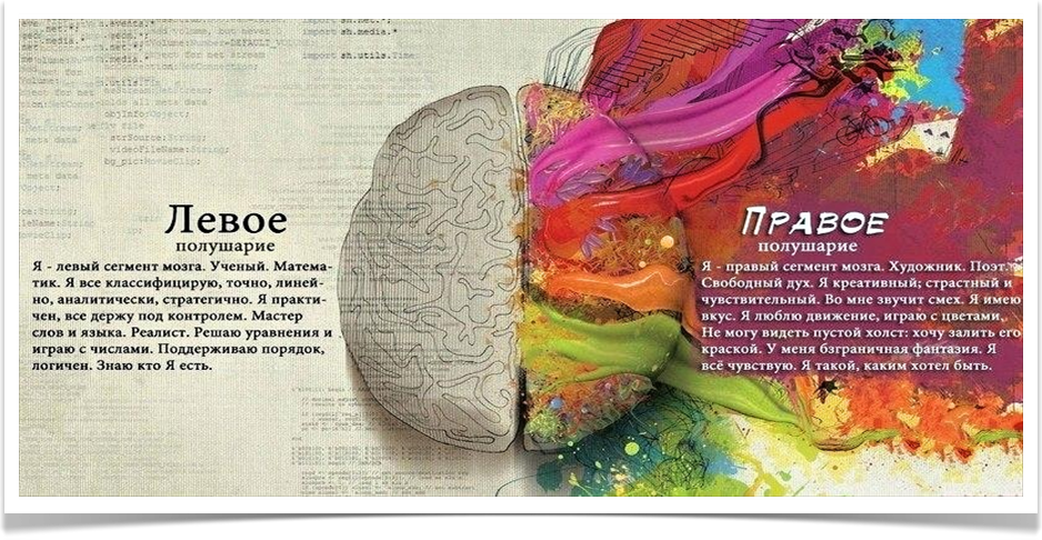 Зрение полушария мозга. Правое и левое полушарие мозга за что отвечают психология. Право ЕИ левое полушаерие. Правое полушарие. Левое полушарие.