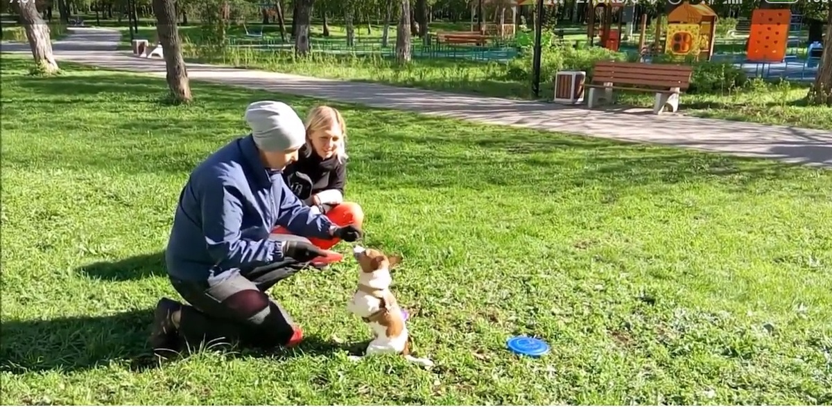 -2
