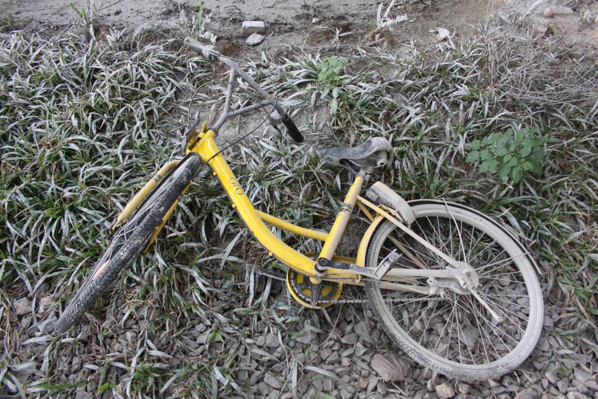 Велосипед ofo живущий под мостом