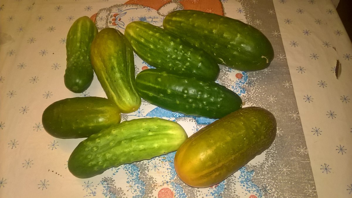 Фотография из Сети