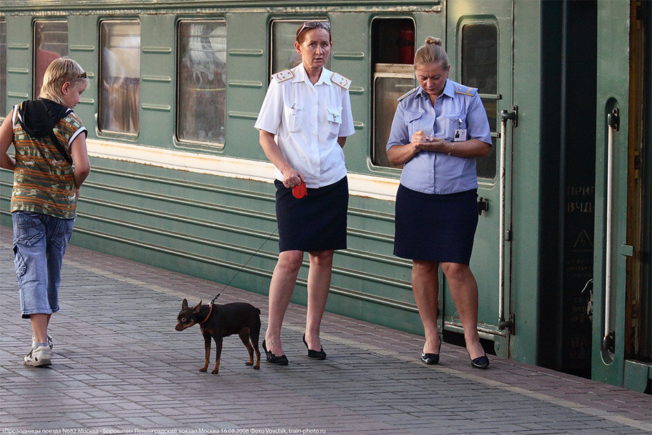 (Источник фото: train-photo.ru). 