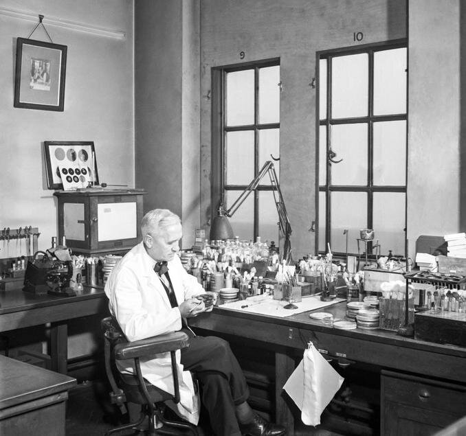 Александр Флеминг в своей лаборатории