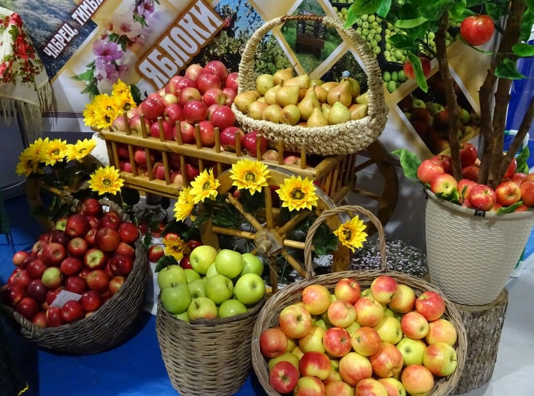 Фрукты Кубани. Урожай фруктов. Фрукты и овощи Кубани. Краснодарский край урожай.