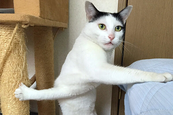 Совсем зашились на работе? Понимаю. Заваривайте чай и читайте Гороскопы от блондинки - а на какой ещё отдых вы рассчитывали? :D