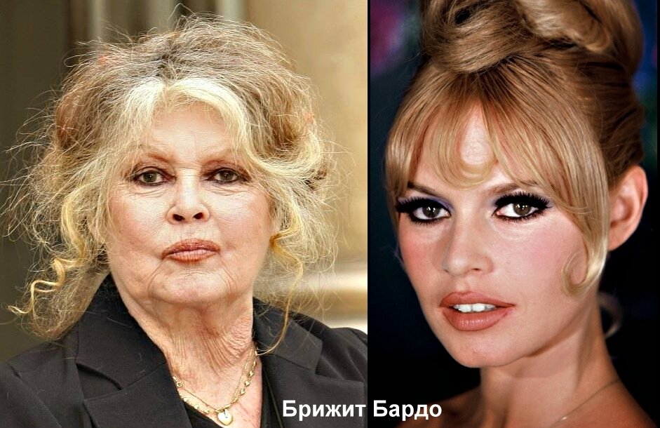Анжелика, маркиза ангелов: какой она стала через 50 лет | Доктор Ватсон ...