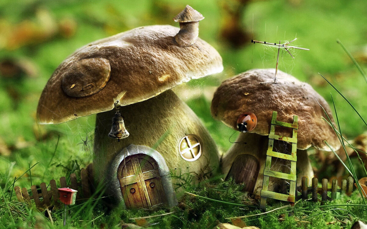 Гриб-строитель, гриб-лечитель ))