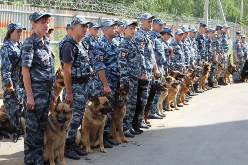  Немецких овчарок шоу разведения ,в полиции используют больше всего,значит по своим качествам они более пригодны для работы в условиях России. Цепочка логики очень простая.-2