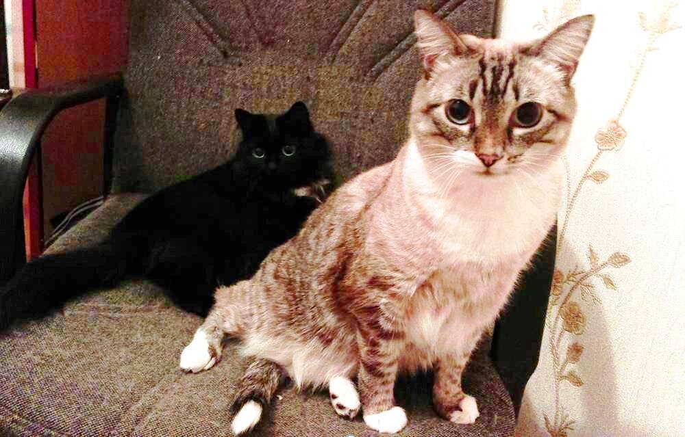 - Что это может значить? 