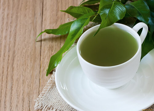 Встретить  зеленый кофе на прилавках российских городов практически невозможно.  Это невероятная редкость, потому что ничего общего этот напиток не имеет  с привычным для нас кофе. Он обладает достаточно специфическим вкусом, а  если добавить имбирь  – напиток и вовсе смогут оценить только гурманы. Зеленый кофе делают в  Колумбии. Только там растут кофейные деревья, дающие зеленые плоды, из  которых и делают зерна для этого напитка.