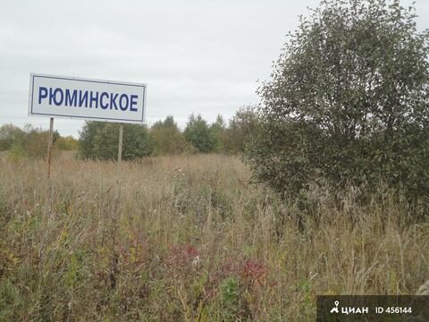 В восьмидесятые годы мама с папой получили в наследство дачу в очень дальнем Подмосковье – точнее даже, во Владимирской области.