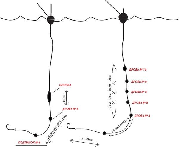 Изображения взято с ресурса Яндекс.Картинки